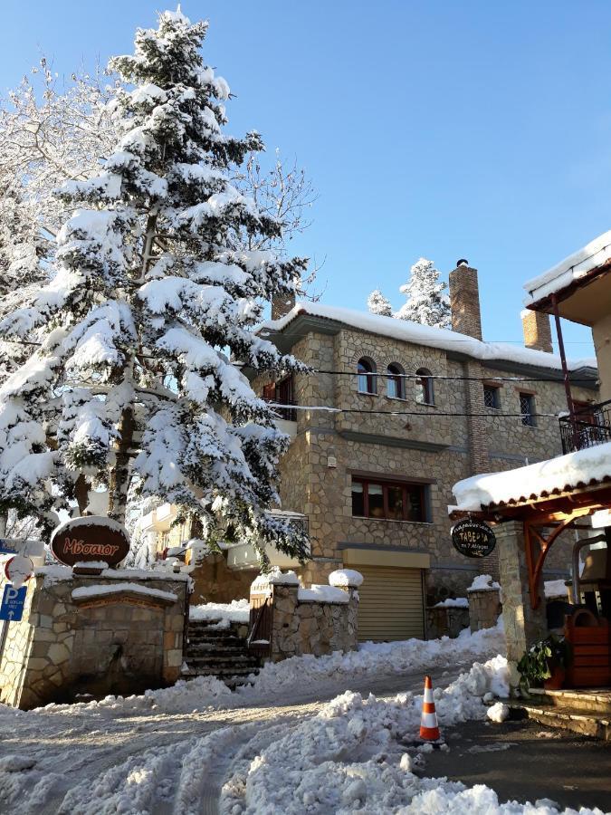 Mysaion Hotel Synikia Mesi Trikalon Buitenkant foto