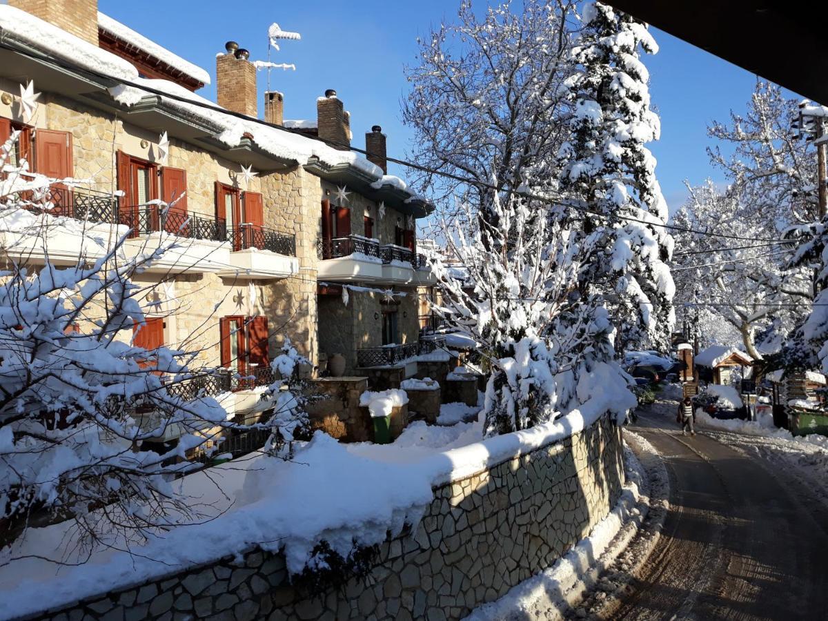 Mysaion Hotel Synikia Mesi Trikalon Buitenkant foto